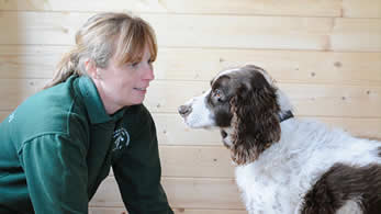 CANINE PHYSIOTHERAPY